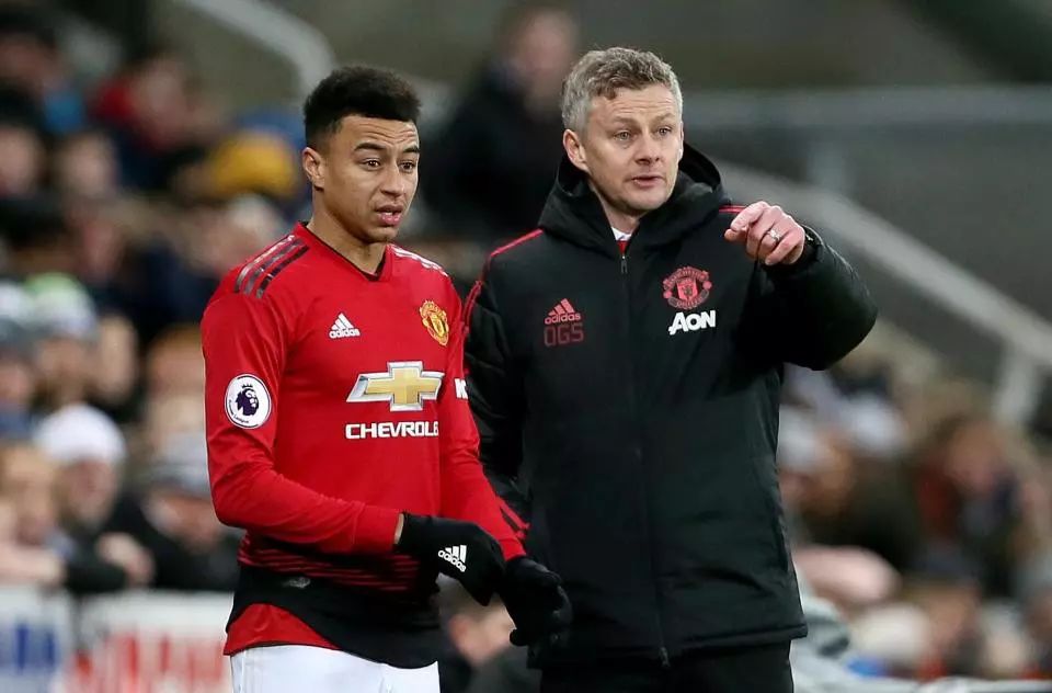 两连胜的傲 两连胜的傲